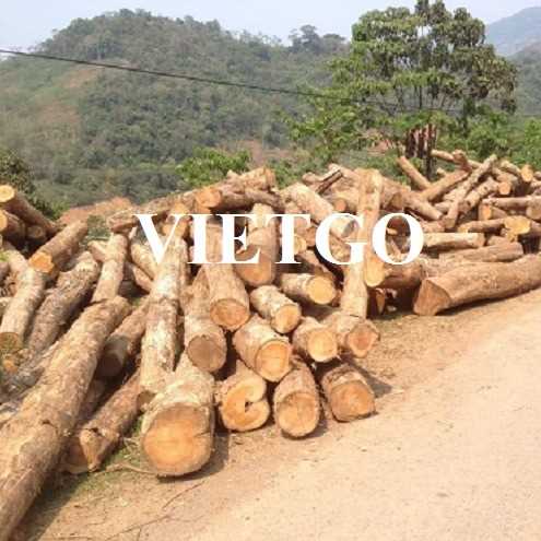 Thương vụ xuất khẩu sản phẩm gỗ teak tròn đến thị trường Philipines