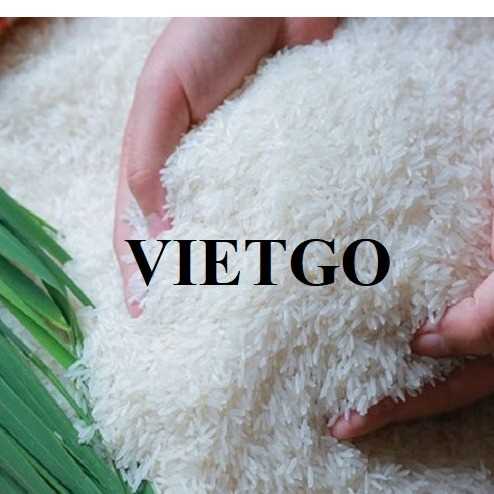 Cơ hội hợp tác xuất khẩu gạo đầy hấp dẫn sang thị trường Ấn Độ
