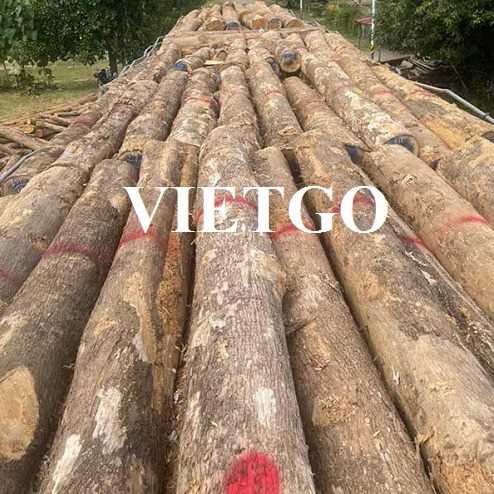 Thương vụ xuất khẩu gỗ teak sang thị trường Ấn Độ