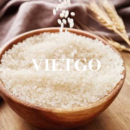 Thương vụ hợp tác xuất khẩu gạo đến từ vị khách hàng người Ấn Độ