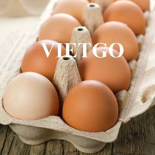 Thương vụ hợp tác xuất khẩu trứng đến từ vị khách hàng người Hồng Kông