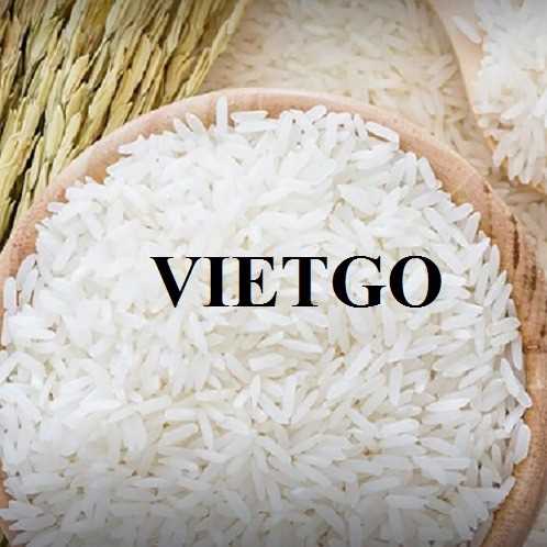 Cơ hội hợp tác xuất khẩu gạo đầy hấp dẫn sang các thị trường Iraq, Iran và Togo