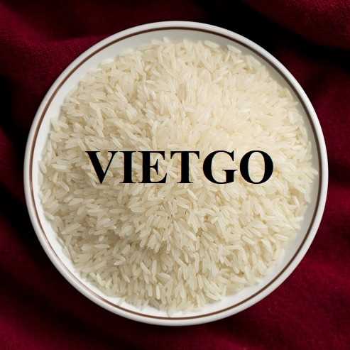Cơ hội xuất khẩu gạo trắng sang thị trường Ai Cập 