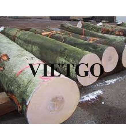 Thương vụ xuất khẩu gỗ dẻ gai tròn đến thị trường Thổ Nhĩ Kỳ