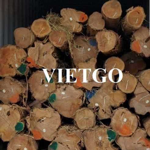 Thương vụ xuất khẩu gỗ teak tròn sang thị trường Ấn Độ 