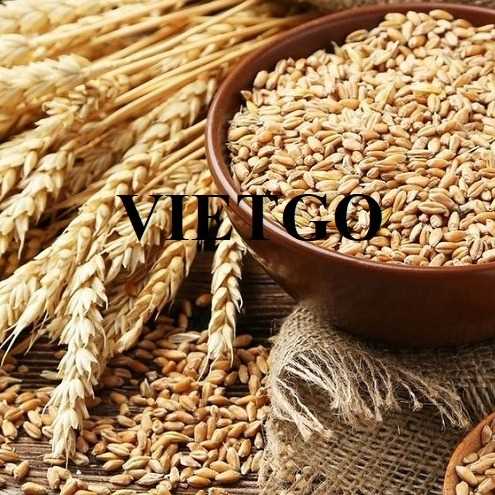 Cơ hội hợp tác xuất khẩu lúa mì đến thị trường Iran