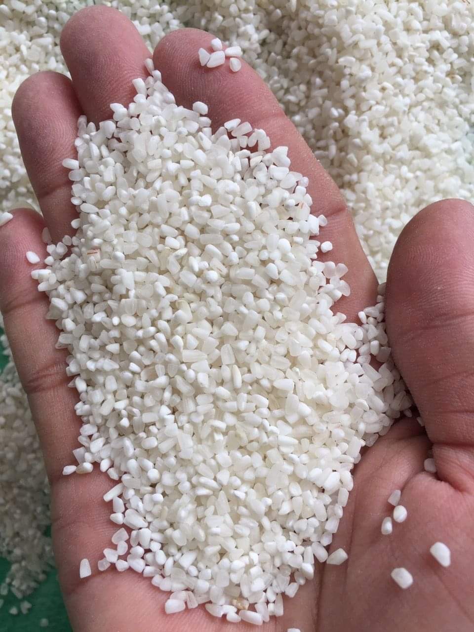 Công Ty TNHH Bình Minh cần tìm cước biển cho mặt hàng gạo sang Thanh Đảo, Trung Quốc