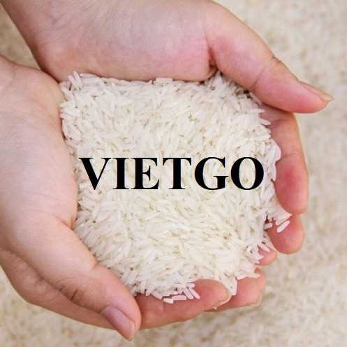 Cơ hội xuất khẩu gạo đến thị trường Ấn Độ