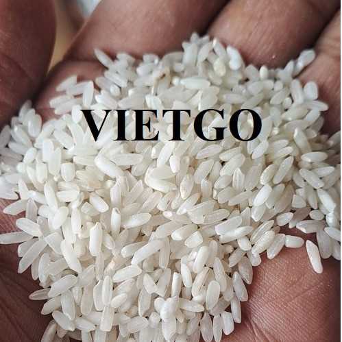 Cơ hội hợp tác xuất khẩu gạo cùng vị khách hàng người Ấn Độ 