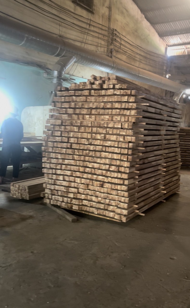 Công ty TNHH Thuận Đức tìm cước vận tải biển cho lô hàng gỗ thông đi Ấn Độ