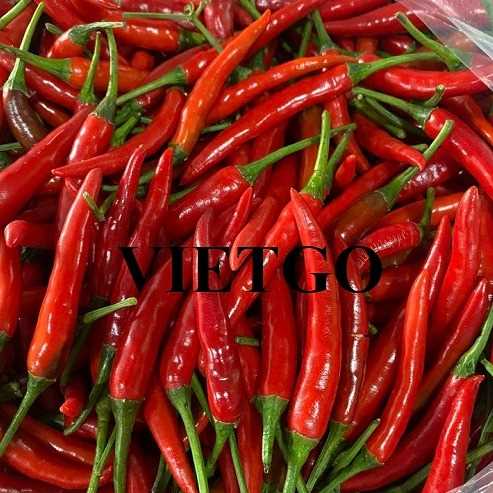 Thương vụ xuất khẩu ớt đến thị trường Sri Lanka