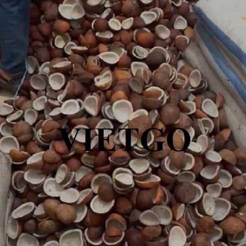 Cơ hội hợp tác xuất khẩu cùi dừa sang thị trường UAE