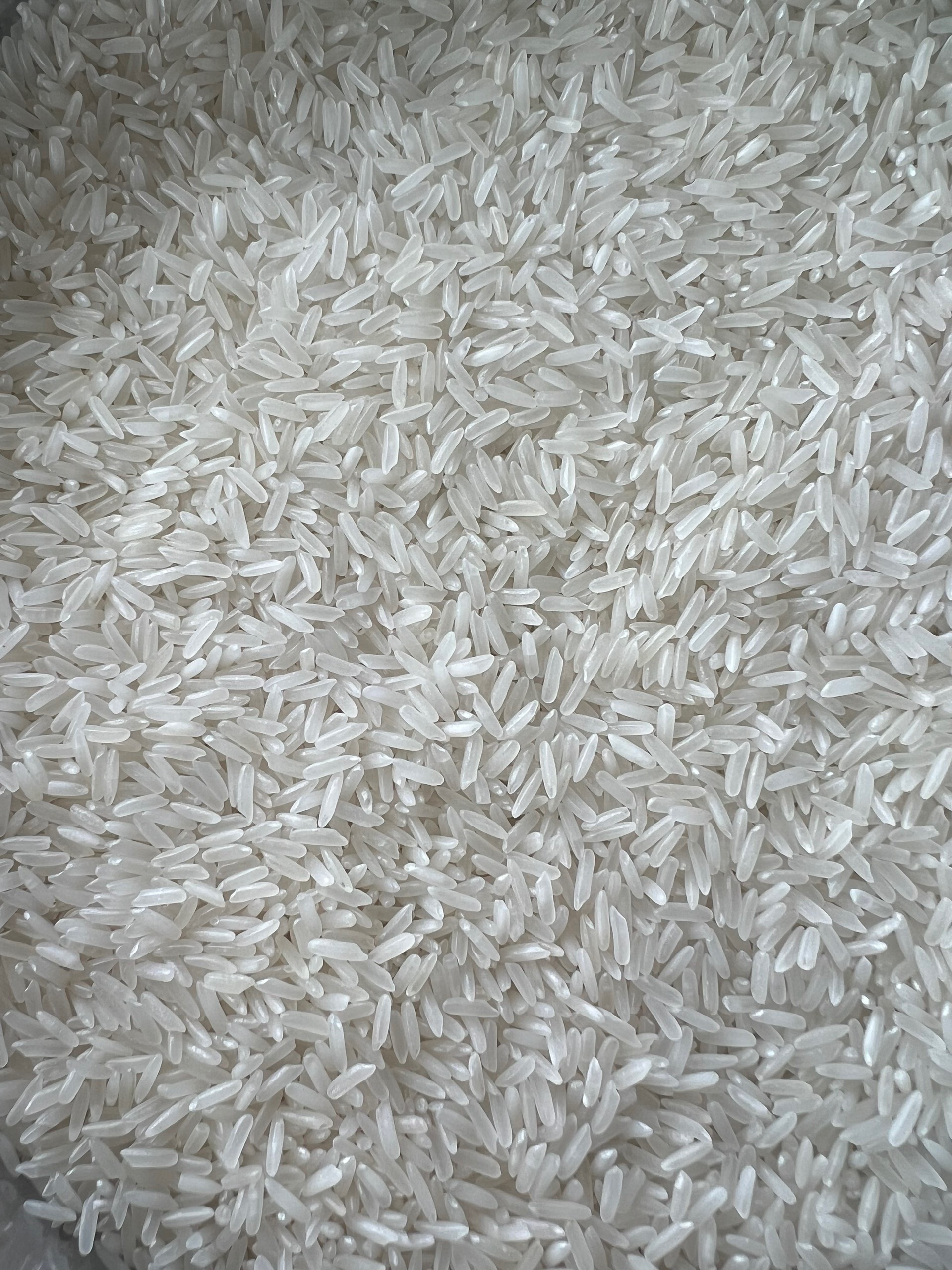 Công Ty TNHH Bình Minh cần tìm cước biển cho mặt hàng gạo sang Bandar Iran với 1000 tấn gạo