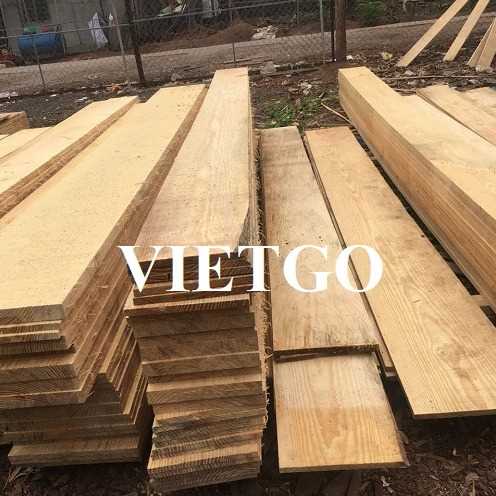 Cơ hội xuất khẩu gỗ sồi xẻ sang thị trường Ấn Độ