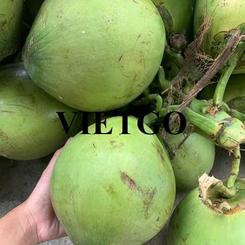 Cơ hội hợp tác xuất khẩu dừa tươi đến thị trường Bangladesh 