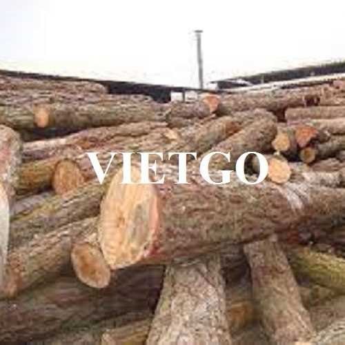 (Cập nhật thông tin đơn hàng)Thương vụ xuất khẩu gỗ thông tròn đến thị trường Ấn Độ