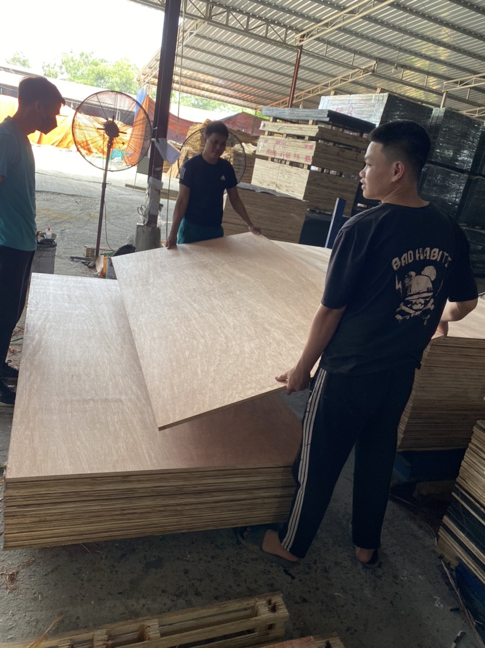 Công ty TNHH Global Dream cần tìm nhà vận tải biển sản phẩm Plywood sang Ấn Độ