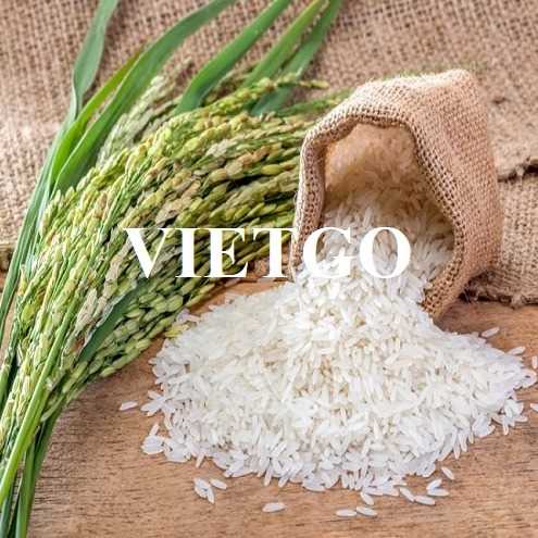 Cơ hội hợp tác xuất khẩu gạo đầy hấp dẫn đến thị trường Mexico