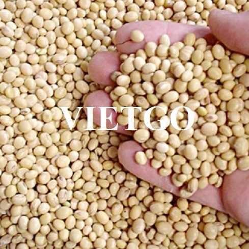 Cơ hội hợp tác xuất khẩu đậu nành sang thị trường Trung Quốc