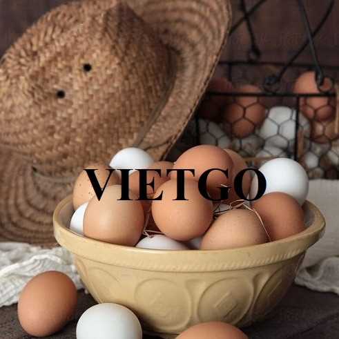 Cơ hội xuất khẩu trứng sang thị trường Thổ Nhĩ Kỳ