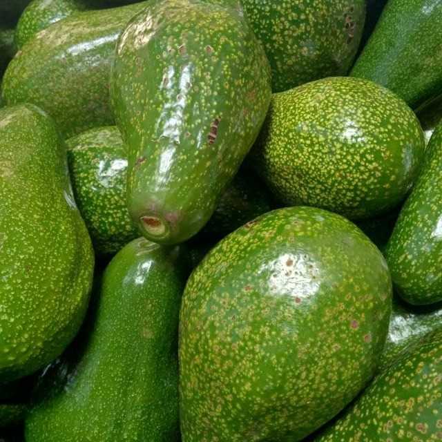 I am looking for Avocado to India