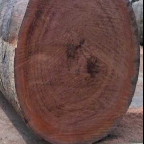 I am looking for Azobe round logs supplier