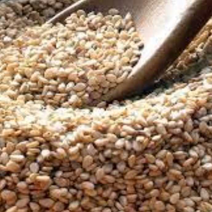 I am looking for sesame seed suppliers