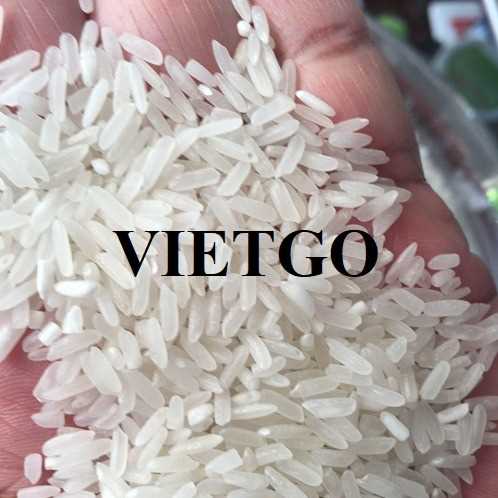 Thương vụ hợp tác xuất khẩu gạo đến thị trường Cuba