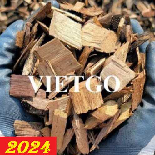 Cơ hội xuất khẩu gỗ vụn sang thị trường Trung Quốc