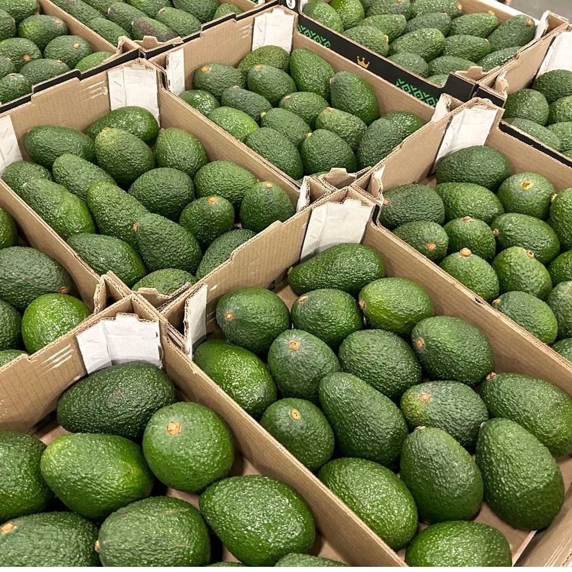 I am looking for Hass Avocado