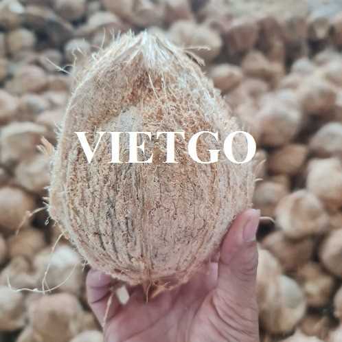 Cơ hội hợp tác xuất khẩu dừa khô lột vỏ đến thị trường Singapore và Ấn Độ 