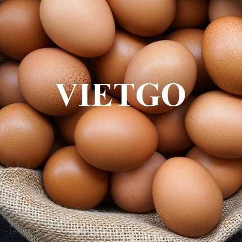 Cơ hội xuất khẩu trứng nâu đến thị trường UAE