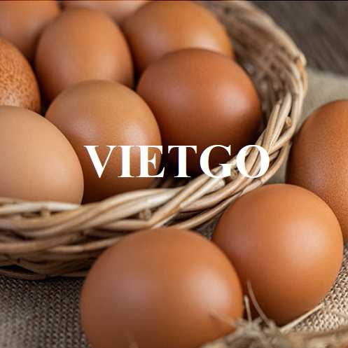Cơ hội hợp tác xuất khẩu trứng nâu cùng vị khách hàng đến từ Trung Quốc