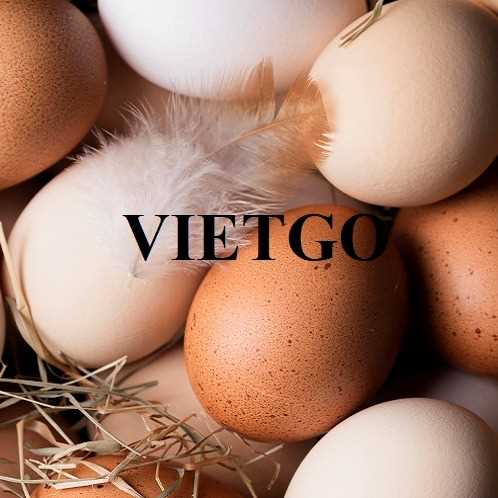 Cơ hội xuất khẩu trứng đến thị trường Thụy Điển