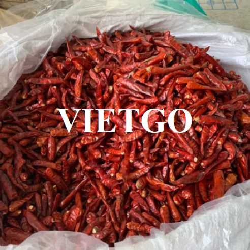 Cơ hội hợp tác xuất khẩu ớt khô đến thị trường Ấn Độ