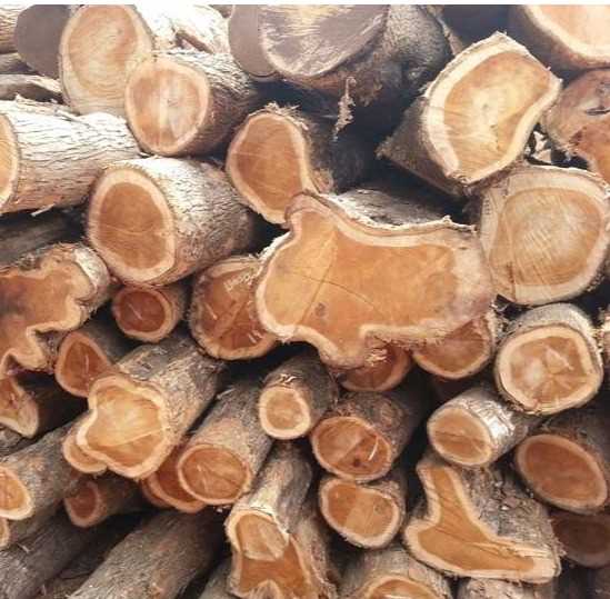 I am looking for Teak Wood