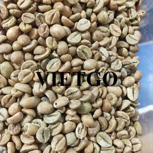 Cơ hội hợp tác xuất khẩu hạt cà phê xanh Arabica và Robusta sang thị trường Hoa Kỳ