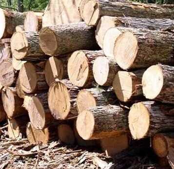 I am looking for Neem logs