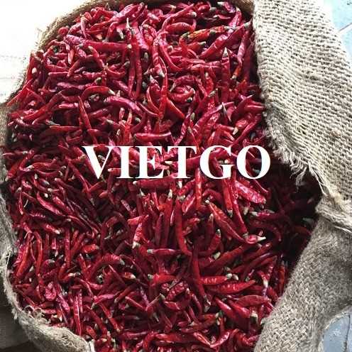 Cơ hội xuất khẩu ớt khô đến thị trường Ấn Độ