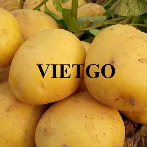 Cơ hội xuất khẩu khoai tây đến thị trường Malaysia
