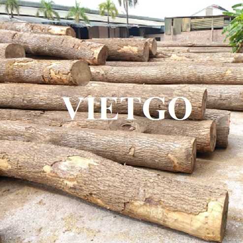 Thương vụ xuất khẩu gỗ thông tròn đến thị trường Bồ Đào Nha