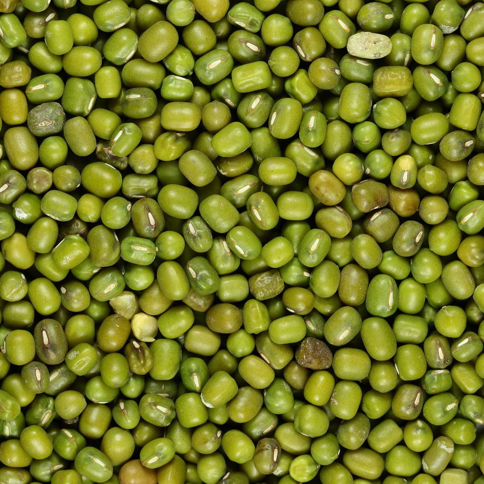 i'm looking for Mung bean
