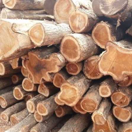 I am looking for teak wood