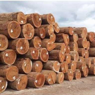 I am looking for Teak Wood Logs