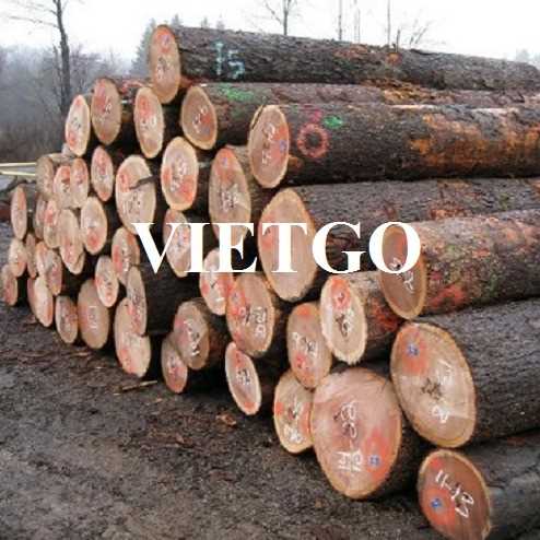 Cơ hội xuất khẩu gỗ sồi tròn sang thị trường Romania