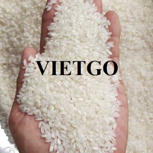 Cơ hội hợp tác xuất khẩu gạo đầy hấp dẫn đến thị trường Romania
