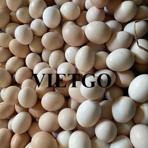 Thương vụ hợp tác xuất khẩu trứng gia cầm sang thị trường Philippines