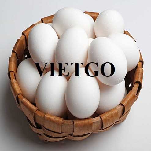 Cơ hội hợp tác xuất khẩu sản phẩm trứng gà trắng đến thị trường UAE