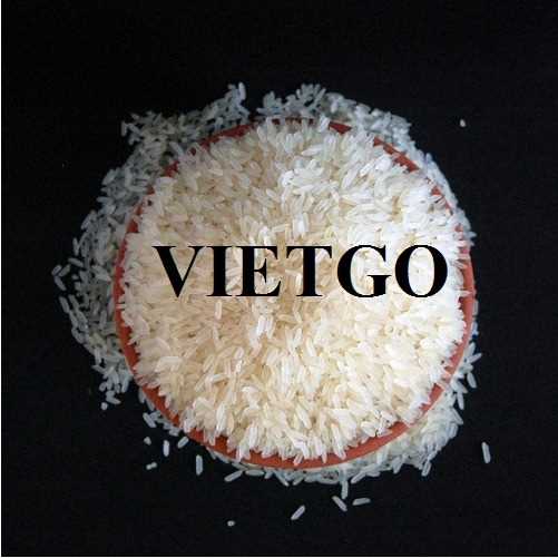 Cơ hội xuất khẩu gạo sang thị trường Ý