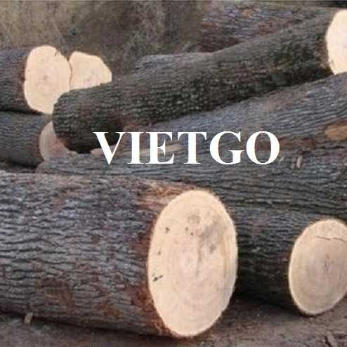 Thương vụ xuất khẩu gỗ sồi đến thị trường Georgia